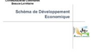 Le Schéma de Développement Économique (SDE)