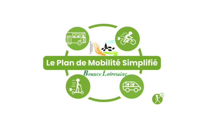 PLAN DE MOBILITÉ SIMPLIFIÉ- QUESTIONNAIRE